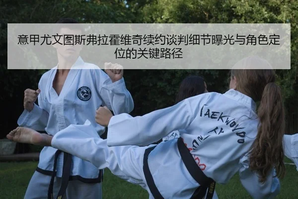 意甲尤文图斯弗拉霍维奇续约谈判细节曝光与角色定位的关键路径